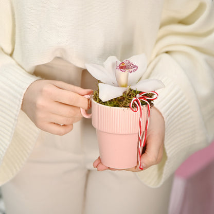 Aranjament „Mărțișor gingaș”