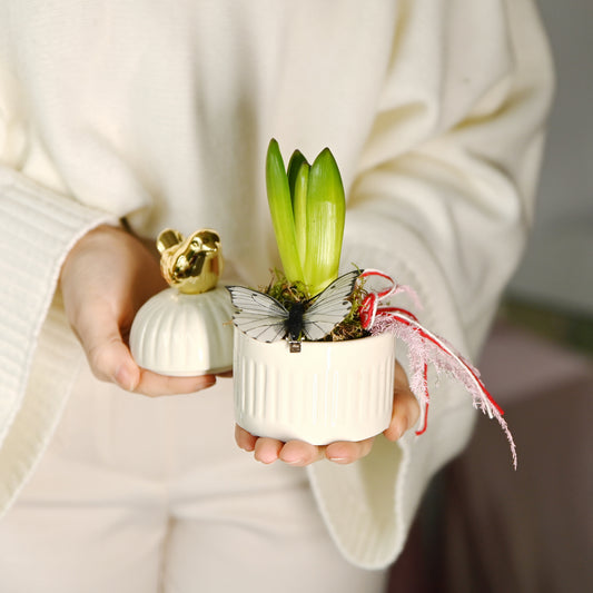 Aranjament „Ciripit de primăvara”